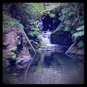 Meet your Posher, Tawney